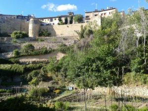 Innovación ciudadana: huertos urbanos en Segovia